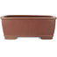 Maceta rectangular sin esmaltar para bonsái de Shibakatsu - 158 x 130 x 60 mm