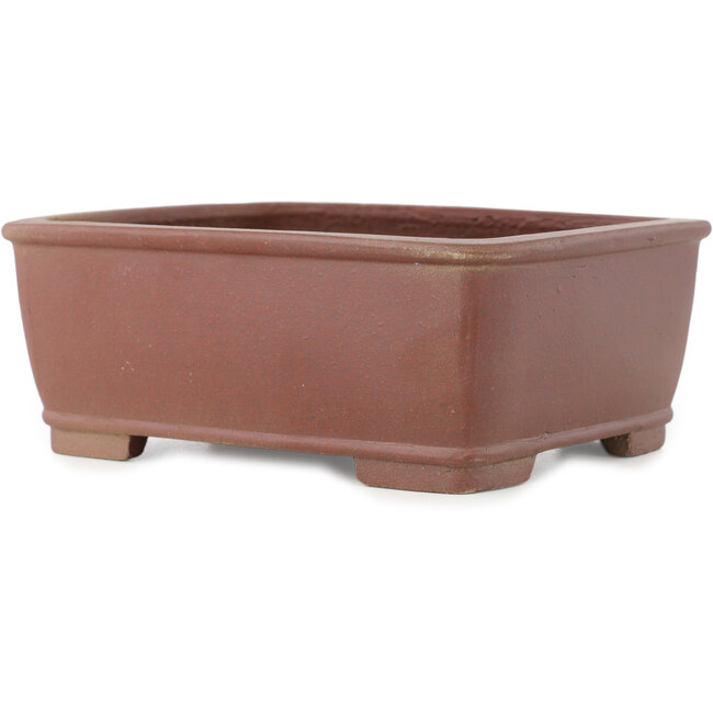 Pot à bonsaï rectangulaire non émaillé de Shibakatsu - 158 x 130 x 60 mm