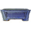 Maceta rectangular azul para bonsái de Shibakatsu - 188 x 153 x 65 mm