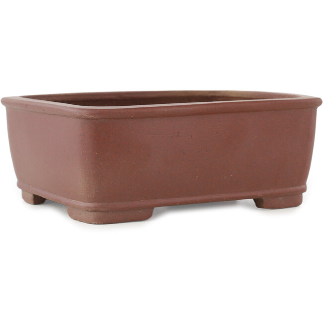 Pot à bonsaï rectangulaire non émaillé de Shibakatsu - 158 x 130 x 60 mm