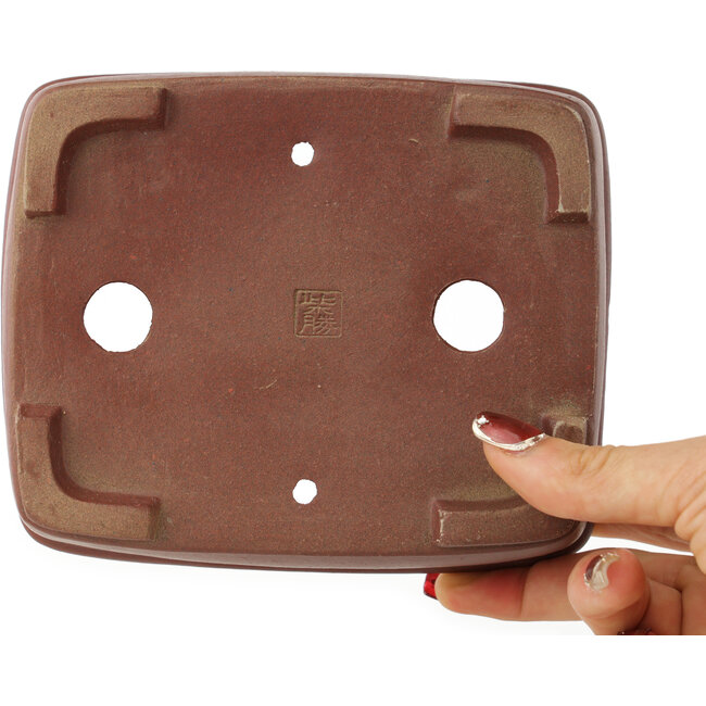 Pot à bonsaï rectangulaire non émaillé de Shibakatsu - 158 x 130 x 60 mm