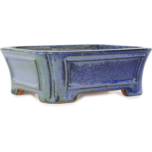 Maceta rectangular azul para bonsái de Shibakatsu - 188 x 153 x 65 mm
