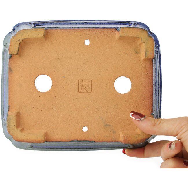 Maceta rectangular azul para bonsái de Shibakatsu - 188 x 153 x 65 mm