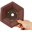 Hexagonal unglazed bonsai pot by Bigei - 155 x 155 x 80 mm