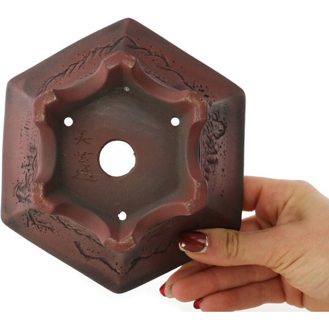 Hexagonal unglazed bonsai pot by Bigei - 155 x 155 x 80 mm