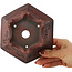 Hexagonal unglazed bonsai pot by Bigei - 155 x 155 x 80 mm