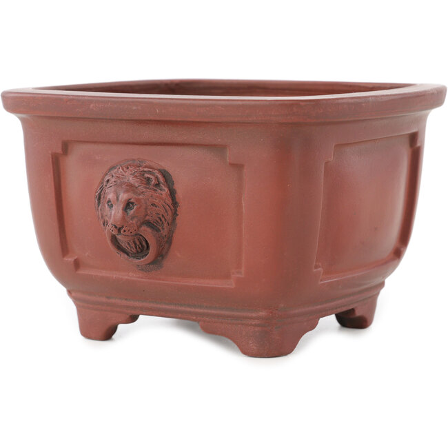Vaso bonsai quadrato non smaltato di Bigei - 128 x 128 x 82 mm