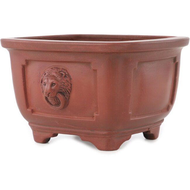 Vaso bonsai quadrato non smaltato di Bigei - 128 x 128 x 82 mm