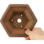 Maceta hexagonal sin esmaltar para bonsái de Bigei - 155 x 155 x 80 mm