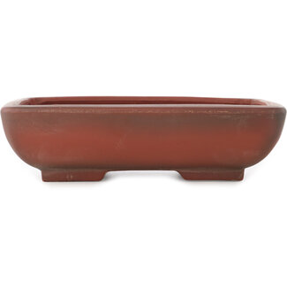 Bigei - Hirata Atsumi Maceta rectangular sin esmaltar para bonsái de 153 mm de Bigei, Tokoname, Japón