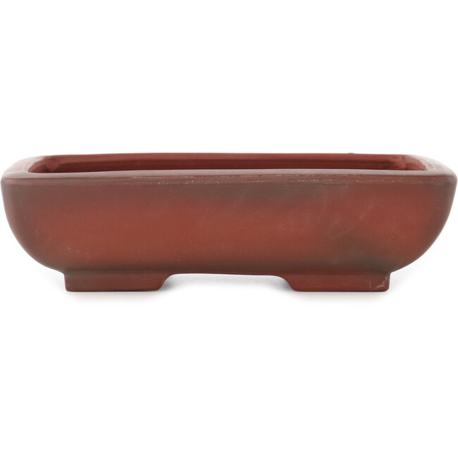 Pot à bonsaï rectangulaire non émaillé de Bigei - 153 x 113 x 41 mm