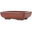 Maceta rectangular sin esmaltar para bonsái de Bigei - 153 x 113 x 41 mm