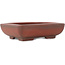 Maceta rectangular sin esmaltar para bonsái de Bigei - 153 x 113 x 41 mm