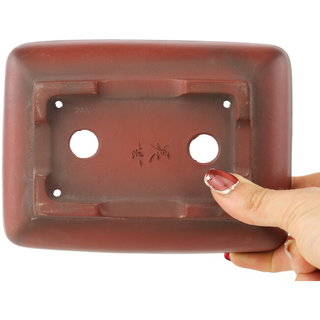 Pot à bonsaï rectangulaire non émaillé de Bigei - 153 x 113 x 41 mm