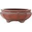 Pot à bonsaï rond non émaillé de Bigei - 155 x 155 x 60 mm
