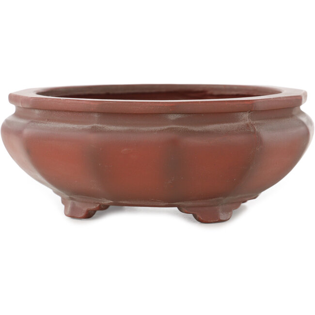 Vaso bonsai rotondo non smaltato di Bigei - 155 x 155 x 60 mm