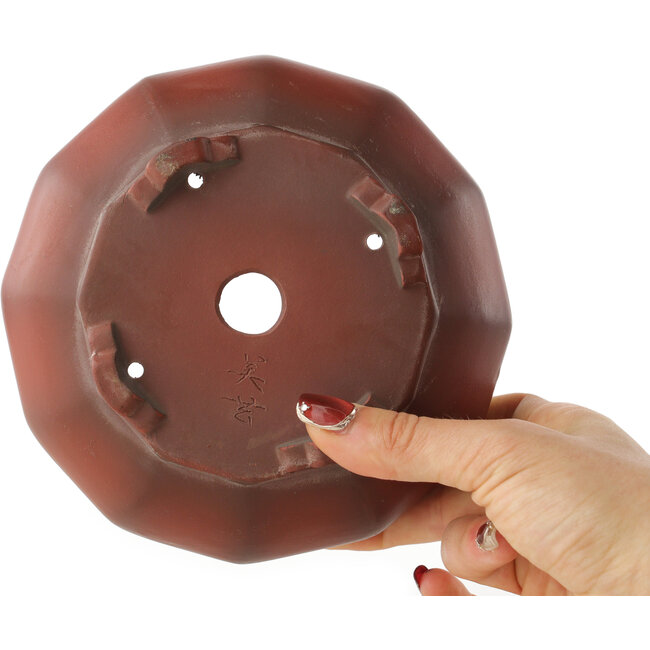 Maceta para bonsái redonda sin esmaltar de Bigei - 155 x 155 x 60 mm