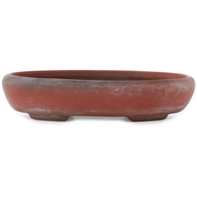 Pot à bonsaï ovale non émaillé de Bigei - 101 x 76 x 22 mm