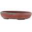 Pot à bonsaï ovale non émaillé de Bigei - 101 x 76 x 22 mm