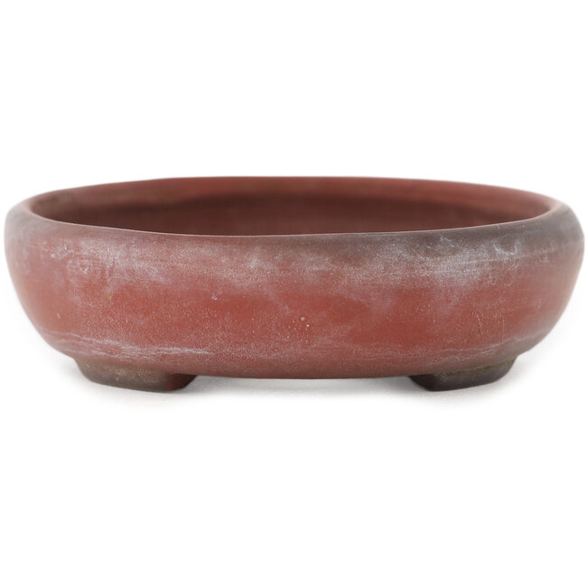 Vaso bonsai ovale non smaltato di Bigei - 101 x 76 x 22 mm