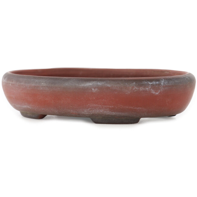 Vaso bonsai ovale non smaltato di Bigei - 101 x 76 x 22 mm