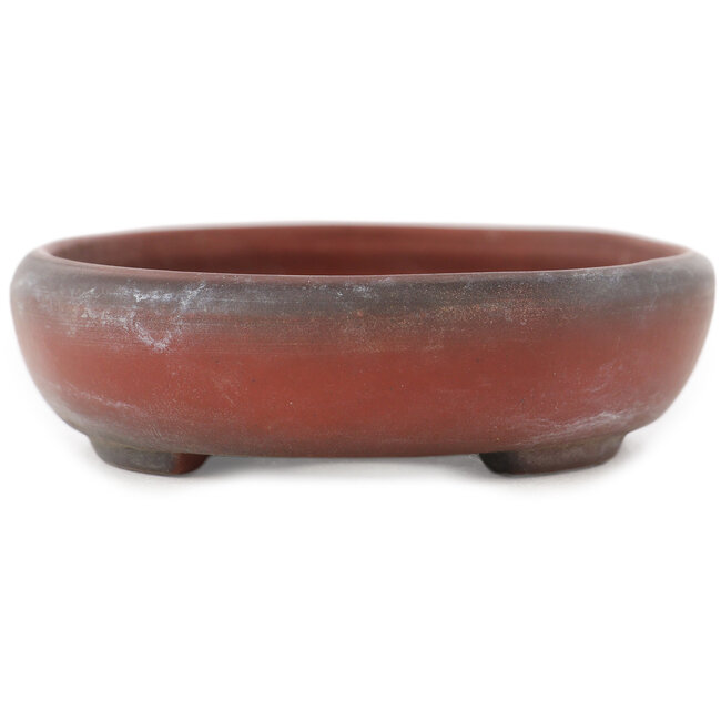 Vaso bonsai ovale non smaltato di Bigei - 101 x 76 x 22 mm