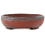 Pot à bonsaï ovale non émaillé de Bigei - 101 x 76 x 22 mm