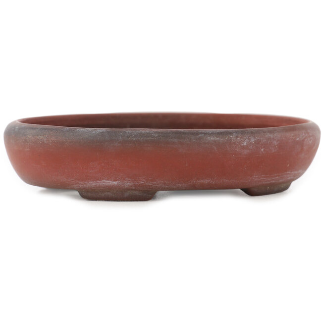 Oval unglazed bonsai pot by Bigei - 101 x 76 x 22 mm