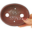 Pot à bonsaï ovale non émaillé de Bigei - 101 x 76 x 22 mm