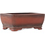 Maceta rectangular sin esmaltar para bonsái de Bigei - 100 x 77 x 42 mm