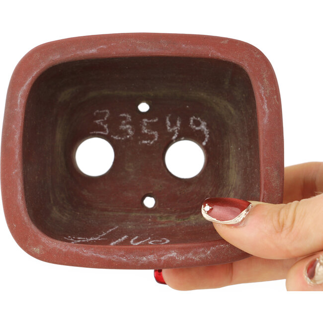 Maceta para bonsái ovalada sin esmaltar de Bigei - 97 x 82 x 47 mm