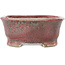 Ovaler rot-blauer Bonsai-Topf von Matuei Kimiko - 157 x 115 x 68 mm