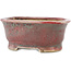 Ovaler rot-blauer Bonsai-Topf von Matuei Kimiko - 157 x 115 x 68 mm