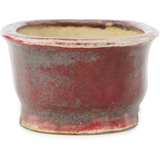 Maceta ovalada para bonsái en color rojo y azul de Matuei Kimiko - 157 x 115 x 68 mm