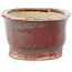 Ovaler rot-blauer Bonsai-Topf von Matuei Kimiko - 157 x 115 x 68 mm