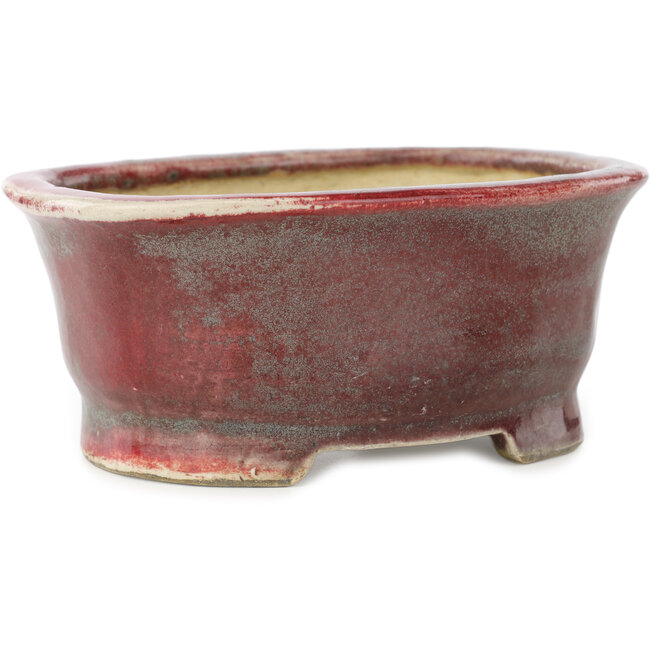 Pot à bonsaï ovale rouge et bleu de Matuei Kimiko - 157 x 115 x 68 mm