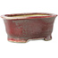 Ovaler rot-blauer Bonsai-Topf von Matuei Kimiko - 157 x 115 x 68 mm