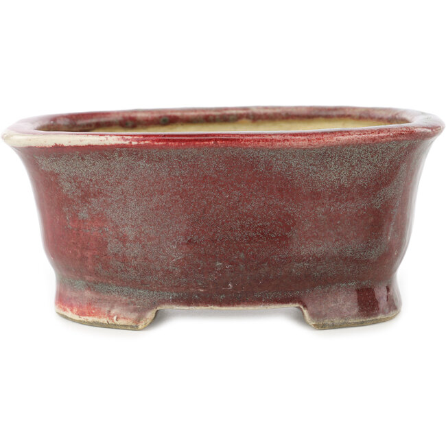 Vaso bonsai ovale rosso e blu di Matuei Kimiko - 157 x 115 x 68 mm