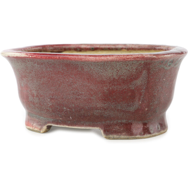 Maceta ovalada para bonsái en color rojo y azul de Matuei Kimiko - 157 x 115 x 68 mm
