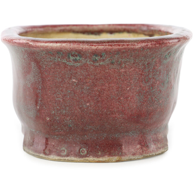 Pot à bonsaï ovale rouge et bleu de Matuei Kimiko - 157 x 115 x 68 mm