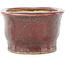 Ovaler rot-blauer Bonsai-Topf von Matuei Kimiko - 157 x 115 x 68 mm