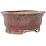 Ovaler rot-blauer Bonsai-Topf von Matuei Kimiko - 157 x 115 x 68 mm