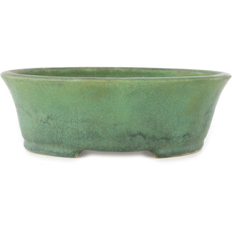 Kimiko Pot à bonsaï ovale vert 188 mm par Matuei Kimiko, Japon