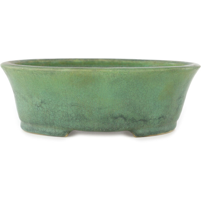 Pot à bonsaï ovale vert par Matuei Kimiko - 188 x 147 x 60 mm