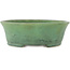 Pot à bonsaï ovale vert par Matuei Kimiko - 188 x 147 x 60 mm