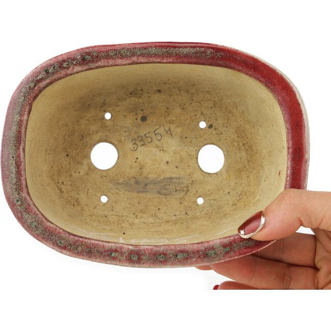 Maceta ovalada para bonsái en color rojo y azul de Matuei Kimiko - 157 x 115 x 68 mm