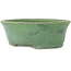 Pot à bonsaï ovale vert par Matuei Kimiko - 188 x 147 x 60 mm