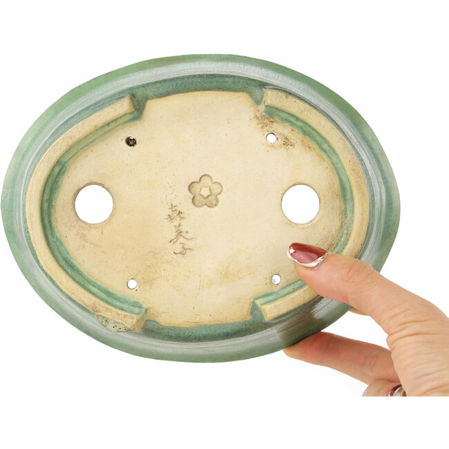 Maceta ovalada para bonsái verde de Matuei Kimiko - 188 x 147 x 60 mm