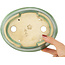 Pot à bonsaï ovale vert par Matuei Kimiko - 188 x 147 x 60 mm