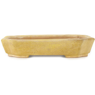 Kimiko Maceta rectangular amarilla para bonsái de 170 mm de Matuei Kimiko, Japón